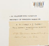 Cyrto-hypnum minutulum image