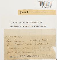 Image Associated With the Occurrence