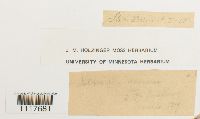 thumbnail image of current specimen