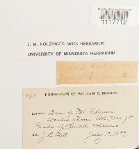 thumbnail image of current specimen