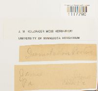 thumbnail image of current specimen