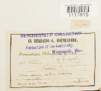 thumbnail image of current specimen