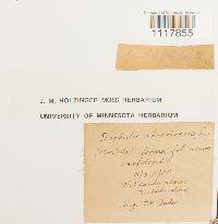 thumbnail image of current specimen