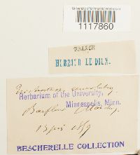 thumbnail image of current specimen