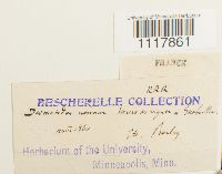 thumbnail image of current specimen