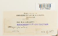thumbnail image of current specimen