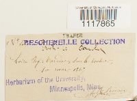 thumbnail image of current specimen