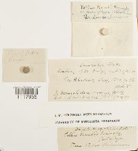 Image Associated With the Occurrence