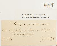 Image Associated With the Occurrence