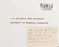 Dicranella heteromalla image