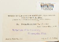 Dicranella heteromalla image