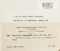 Media resource of Dicranella heteromalla