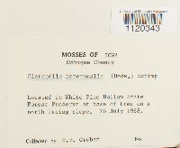 Image Associated With the Occurrence