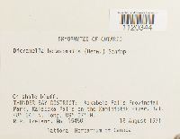 Image Associated With the Occurrence