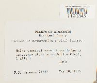 Image Associated With the Occurrence