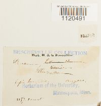 Image Associated With the Occurrence