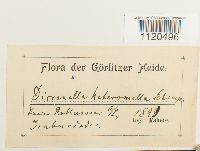 Image Associated With the Occurrence