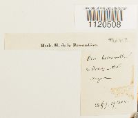 Image Associated With the Occurrence