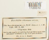 Image Associated With the Occurrence