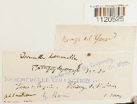 Image Associated With the Occurrence