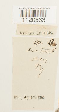 Image Associated With the Occurrence