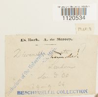 Image Associated With the Occurrence