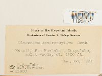 Image Associated With the Occurrence