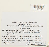 Thumbnail image of current specimen