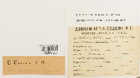 Media resource of Dicranoloma braunii