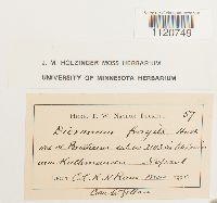 Image Associated With the Occurrence