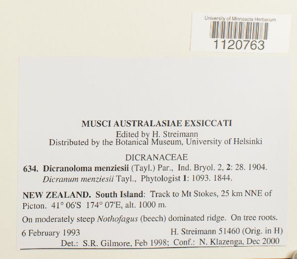 Dicranoloma menziesii image