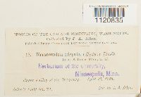 Image Associated With the Occurrence