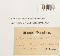 Image Associated With the Occurrence