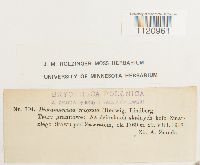 Image Associated With the Occurrence