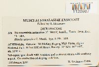 Media resource of Dicranoweisia antarctica