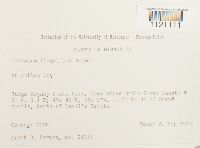 Dicranum flagellare image