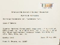 Image Associated With the Occurrence