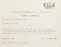 Dicranum fuscescens image