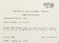 Dicranum fuscescens image