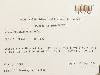 Dicranum montanum image