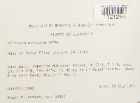 Dicranum montanum image