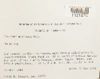 Dicranum montanum image