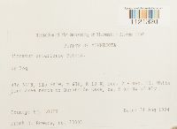 Dicranum ontariense image