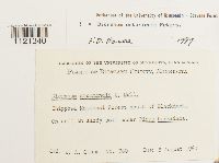 Image Associated With the Occurrence