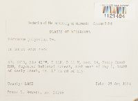 Dicranum polysetum image