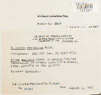 Dicranum undulatum image