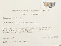 Media resource of Dicranum viride