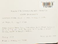 Dicranum viride image