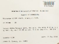 Dicranum viride image