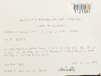 Image Associated With the Occurrence